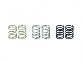 3RACING Sakura FGX Front Coil Spring - FGX-115