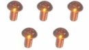 3RACING M3 x 6 AL7075 Button Head Hex Socket - Machine (5 Pcs) Orange - TS-BSM306AL/OR 3RACING M3 x 6 AL7075 Button Head Hex Socket - Machine (5 Pcs) Orange - TS-BSM306AL/OR