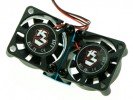 Team Losi Mini LST Aluminium Twins Motor Cooler - Light Blue Color - 3RACING MST-08/LB Team Losi Mini LST Aluminium Twins Motor Cooler - Light Blue Color - 3RACING MST-08/LB