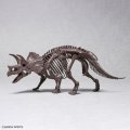 alt="Bandai 5061801 - 1/32 Triceratops Imaginary Skeleton" title="Bandai 5061801 - 1/32 Triceratops Imaginary Skeleton"