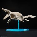 alt="Bandai 5065321 - Plannosaurus Mosasaurus #04" title="Bandai 5065321 - Plannosaurus Mosasaurus #04"