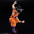 alt="Bandai 5063353 - Figure-rise Standard Son Goku (NEW Spec Ver.)" title="Bandai 5063353 - Figure-rise Standard Son Goku (NEW Spec Ver.)"