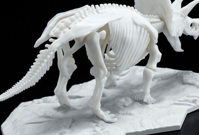Bandai 5061660 - Triceratops Dinosaur Model Kit Limex Skeleton