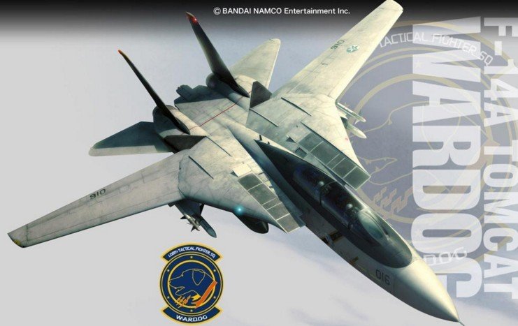 Hasegawa SP335 - 1/72 Ace Combat F-14A Tomcat Wardog 52135