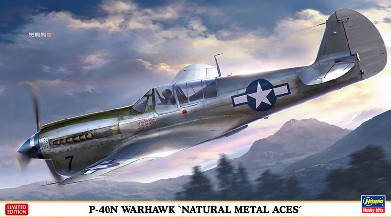 Hasegawa 07516 - 1/48 P-40N Warhawk \'Natural Metal Aces\'