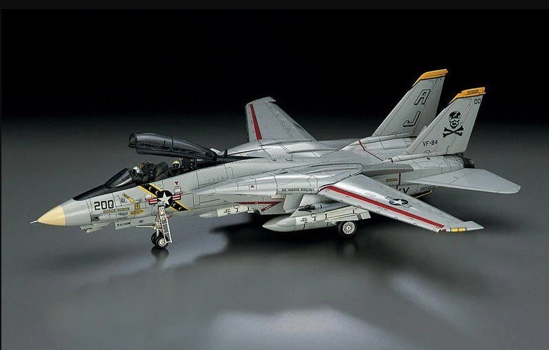 Maquette Hasegawa 1/48 F-14A P19 Atlantic Fleet Squadron - Occasion