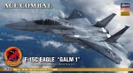 Hasegawa 52130 - SP330 1/72 Ace Combat F-15C Eagle Galm 1