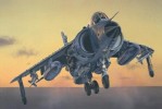Italeri 1236 - 1/72 Sea Harrier FRS.1