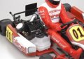 alt="Kyosho 31315T1 -  1/5 GP 2WD RACING KART - BIREL R31-SE Readyset" title="Kyosho 31315T1 -  1/5 GP 2WD RACING KART - BIREL R31-SE Readyset"