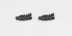 Kyosho 1-S42010TP - TP Round Screw(M2x10/10pcs)