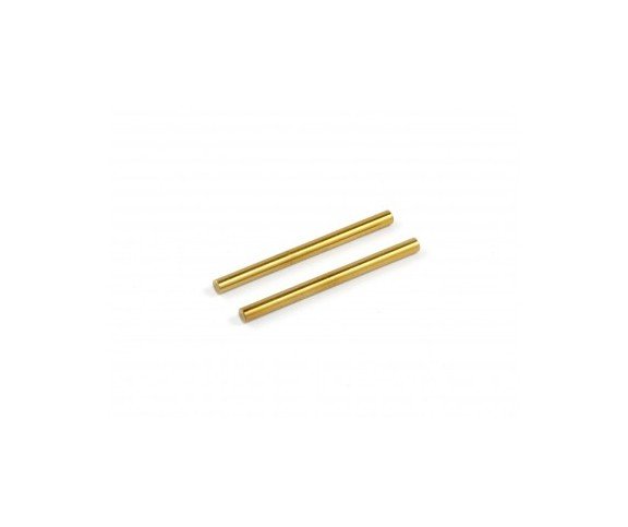 ROCHE 330106 P12 2mm Upper Hinge Pin, Titanium Coated, 2 pcs S30137