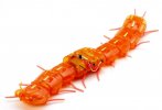 Tamiya 69928 - Centipede Robot (Clear Orange)
