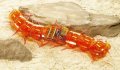 alt="Tamiya 69928 - Centipede Robot (Clear Orange)" title="Tamiya 69928 - Centipede Robot (Clear Orange)"