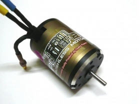 Team Powers 3000KV 3300KV 4300KV Brushless Sensorless Motor