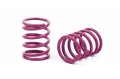 alt="XRAY 338186 Spring-Set D=1.8 (35.5 LB) Purple - Medium-Hard - Front (2)" title="XRAY 338186 Spring-Set D=1.8 (35.5 LB) Purple - Medium-Hard - Front (2)"