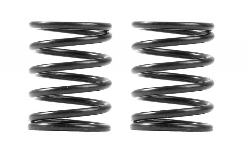 XRAY 338085 3S Spring-Set C=5.5 (2)