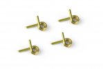 XRAY 358480 - 4-shoe Clutch Springs - Gold - Soft (4)