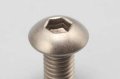 alt="Yokomo ZC-BH310T - Titanium Button Head B.H Socket Screw M3x10mm (5pcs)" title="Yokomo ZC-BH310T - Titanium Button Head B.H Socket Screw M3x10mm (5pcs)"